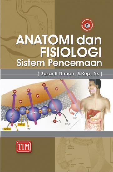 Anatomi Dan Fisiologi Sistem Pencernaan Susanti Niman Belbuk